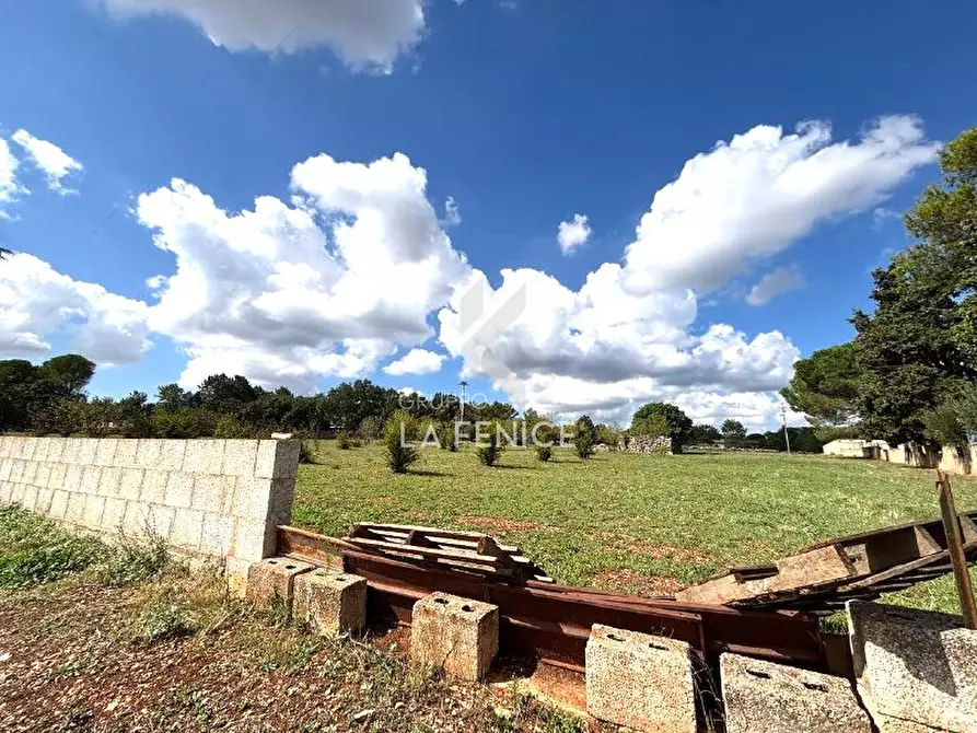 Immagine 3 di Terreno in vendita  in contrada san domenico a Martina Franca