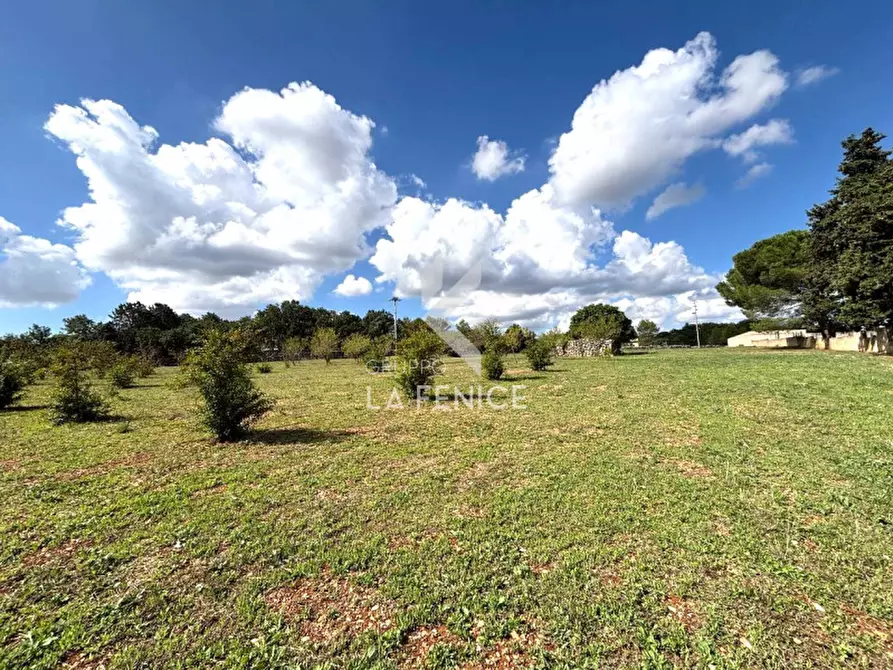 Immagine 4 di Terreno in vendita  in contrada san domenico a Martina Franca
