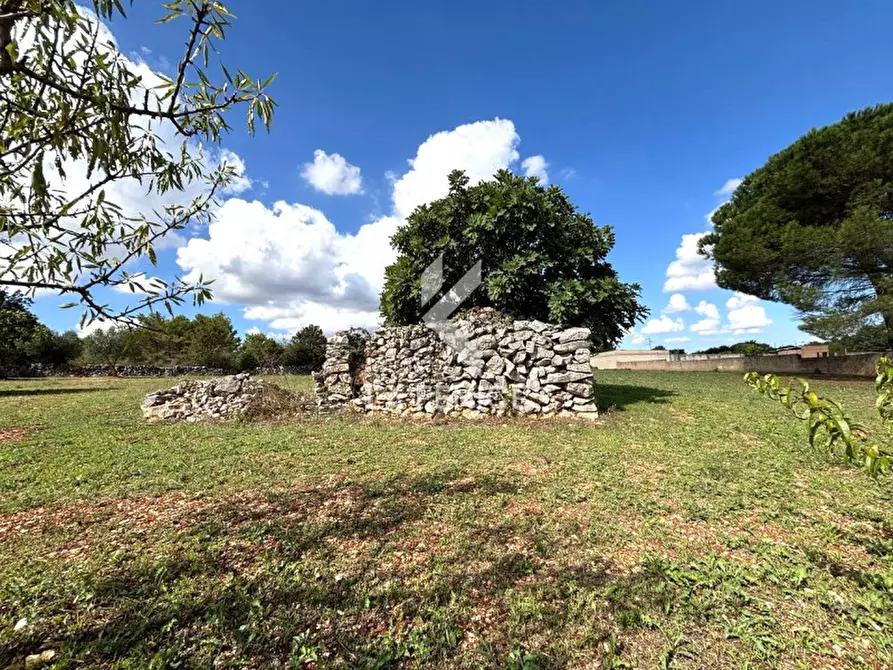 Immagine 6 di Terreno in vendita  in contrada san domenico a Martina Franca