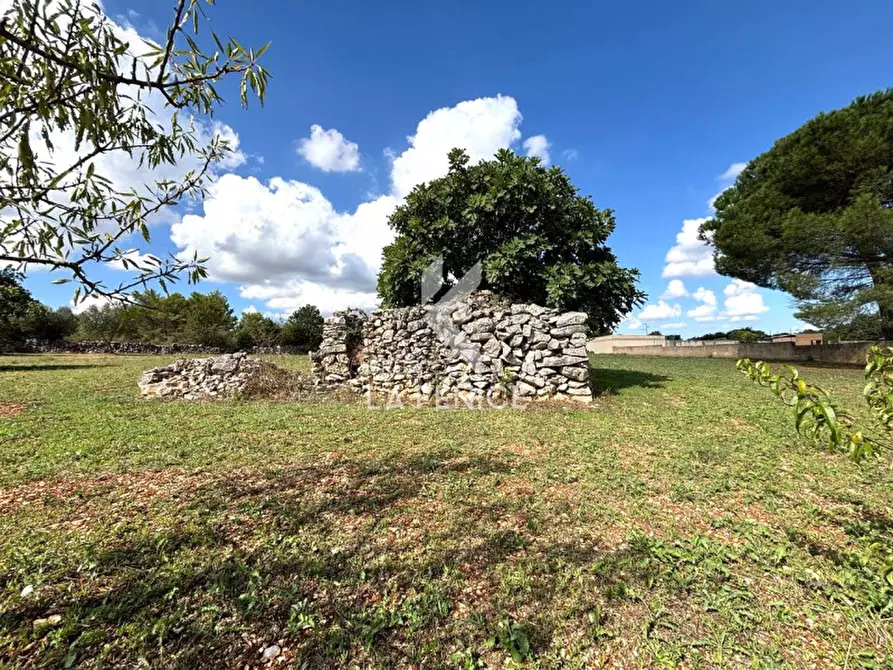 Immagine 7 di Terreno in vendita  in contrada san domenico a Martina Franca