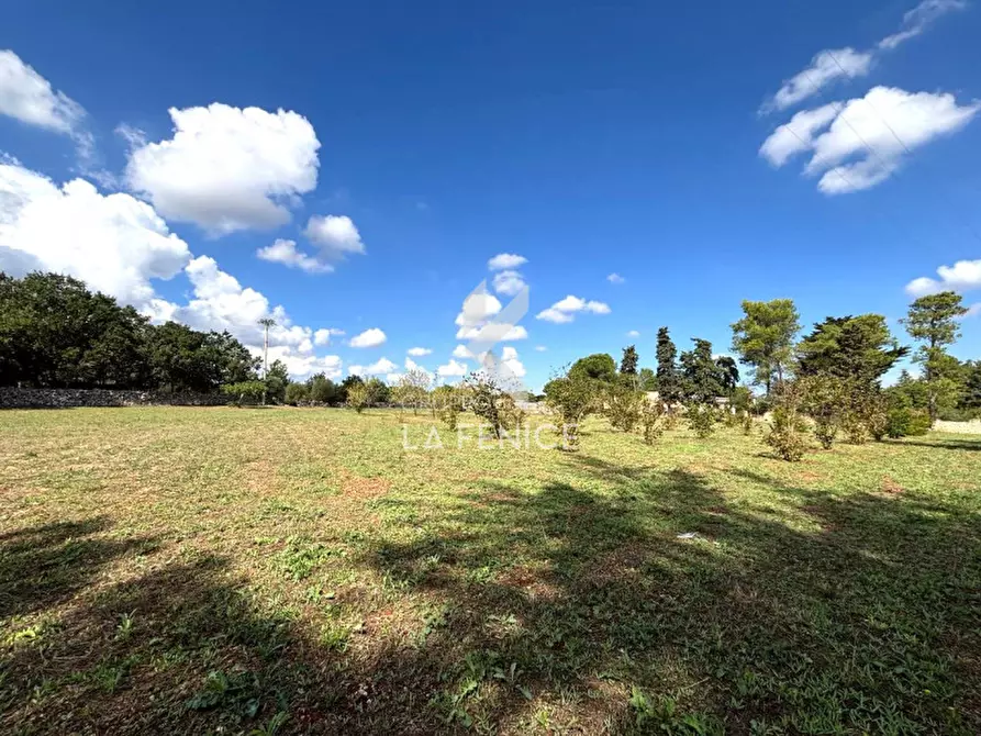 Immagine 9 di Terreno in vendita  in contrada san domenico a Martina Franca