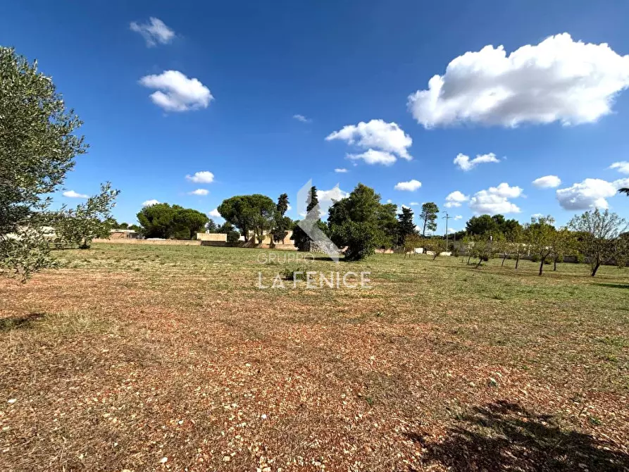 Immagine 10 di Terreno in vendita  in contrada san domenico a Martina Franca