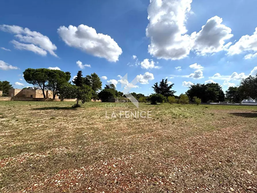 Immagine 11 di Terreno in vendita  in contrada san domenico a Martina Franca