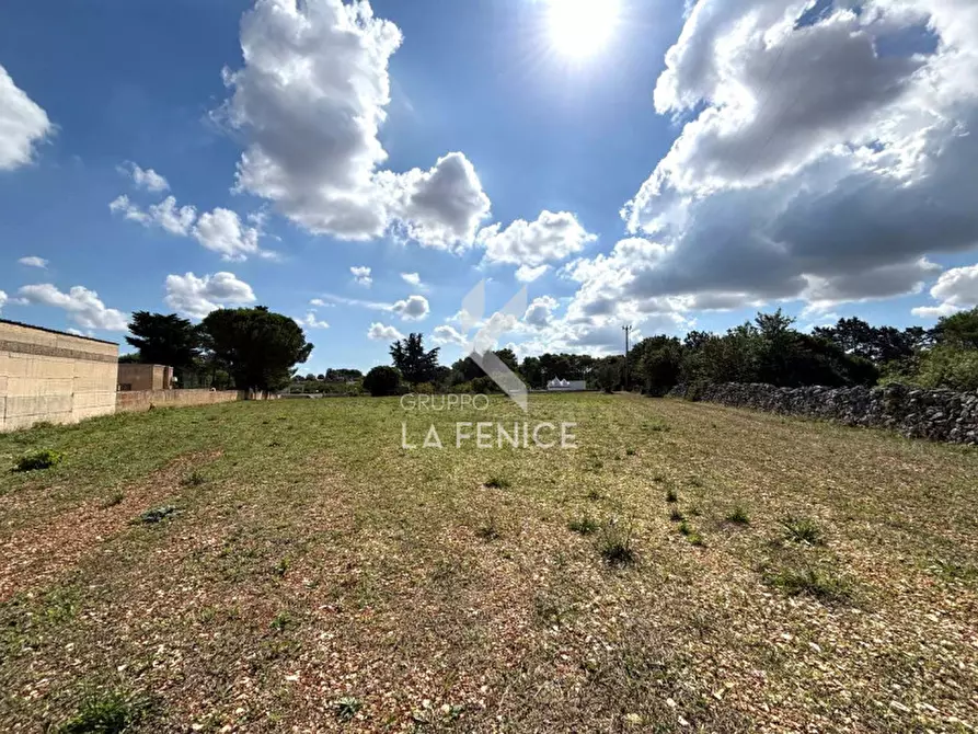 Immagine 12 di Terreno in vendita  in contrada san domenico a Martina Franca