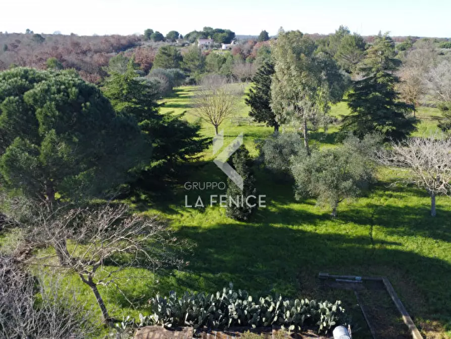 Immagine 44 di Villa in vendita  in strada guardarello 76a a Martina Franca