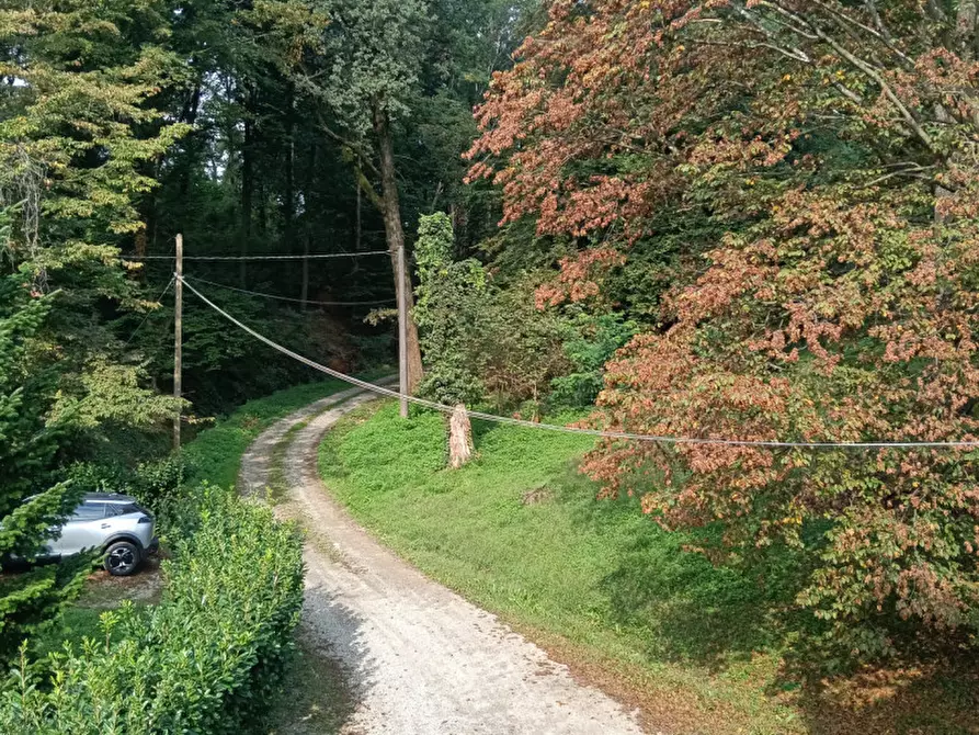 Immagine 27 di Villa in affitto  in Viale Brianza 1 a Arcore