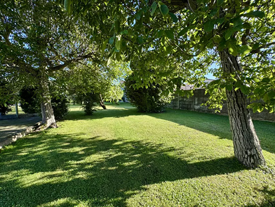 Immagine 12 di Casa indipendente in vendita  in Via Umberto 1° a Borgo Veneto