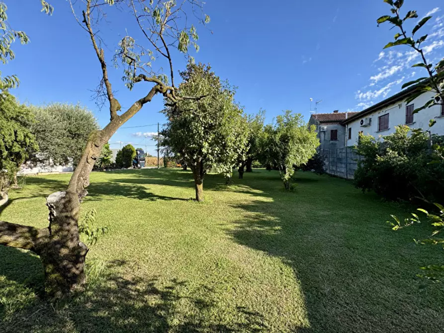 Immagine 13 di Casa indipendente in vendita  in Via Umberto 1° a Borgo Veneto