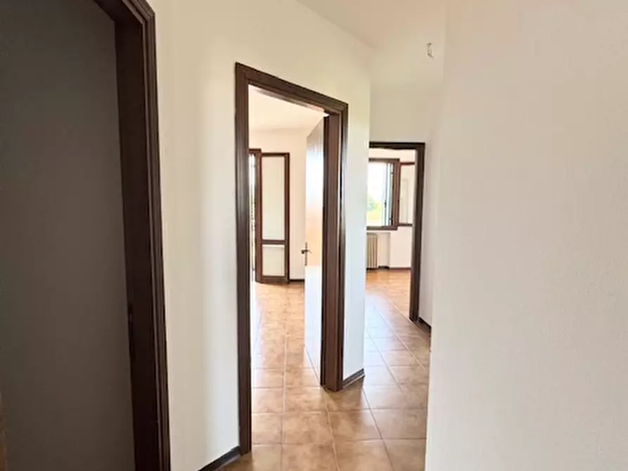 Immagine 5 di Appartamento in vendita  a Albettone