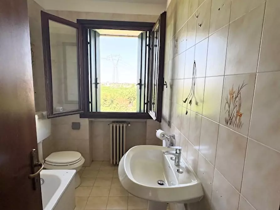 Immagine 6 di Appartamento in vendita  a Albettone