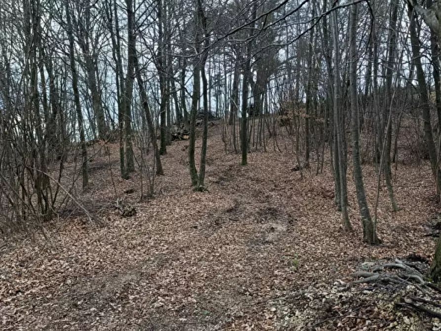Immagine 7 di Rustico / casale in vendita  in Località Barchi a Piovene Rocchette