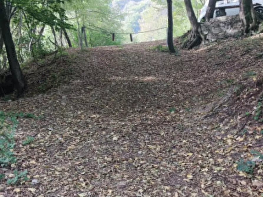 Immagine 8 di Rustico / casale in vendita  in Località Barchi a Piovene Rocchette