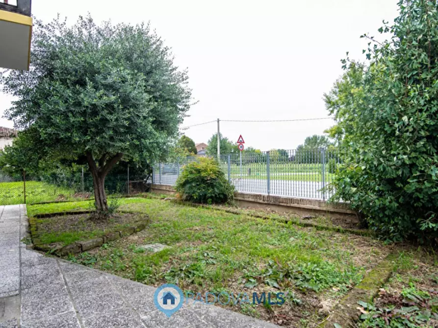 Immagine 28 di Casa indipendente in vendita  in Via Isonzo a Vigonza