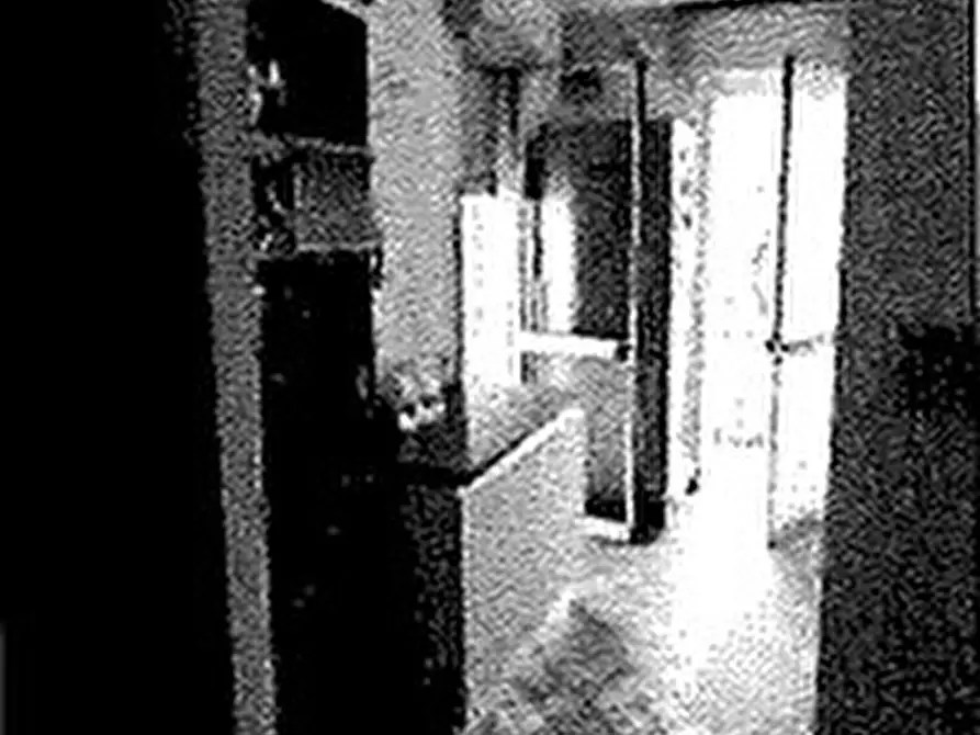 Immagine 7 di Appartamento in vendita  in Via Galanti, 25 a Villorba