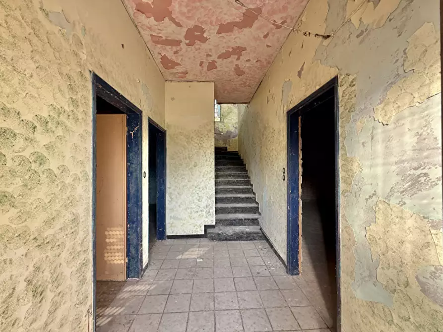 Immagine 2 di Casa indipendente in vendita  in Via Assisi a Solesino