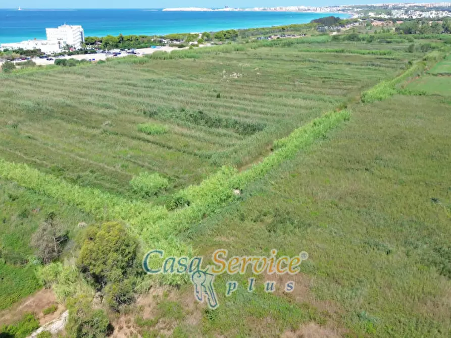 Immagine 5 di Rustico / casale in vendita  in Contrada Pizzo a Gallipoli