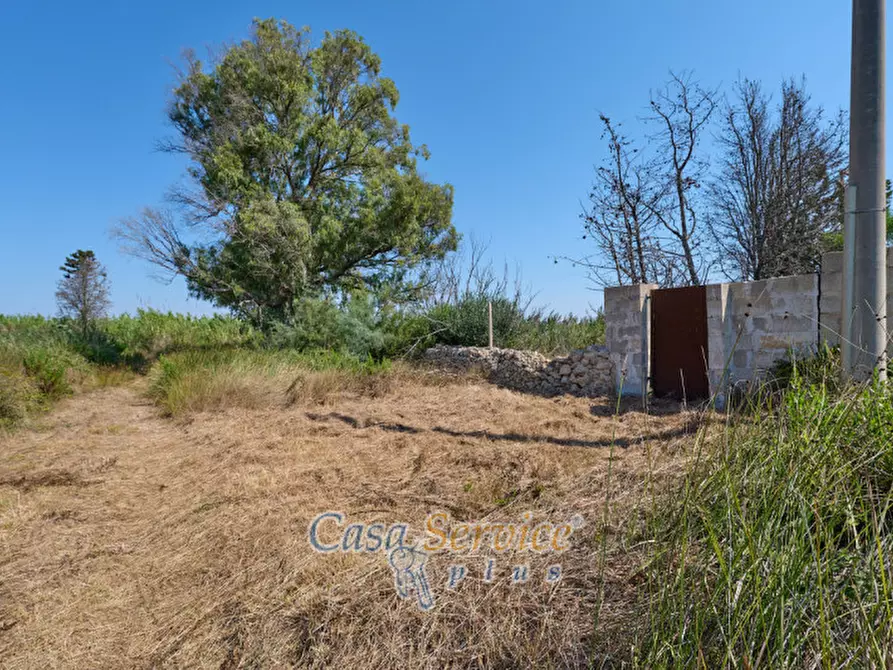 Immagine 7 di Rustico / casale in vendita  in Contrada Pizzo a Gallipoli
