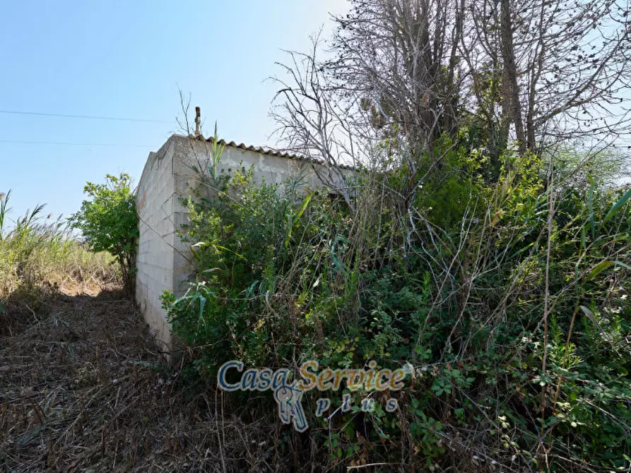 Immagine 9 di Rustico / casale in vendita  in Contrada Pizzo a Gallipoli