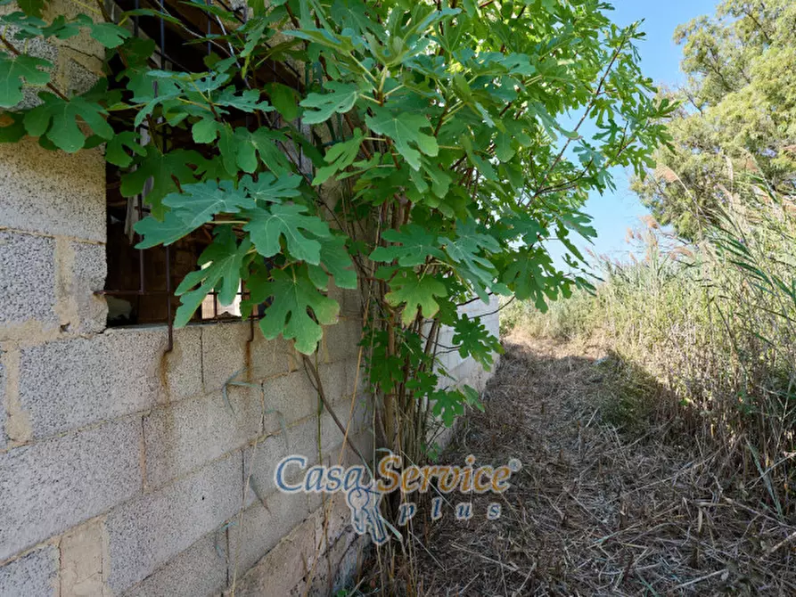Immagine 10 di Rustico / casale in vendita  in Contrada Pizzo a Gallipoli