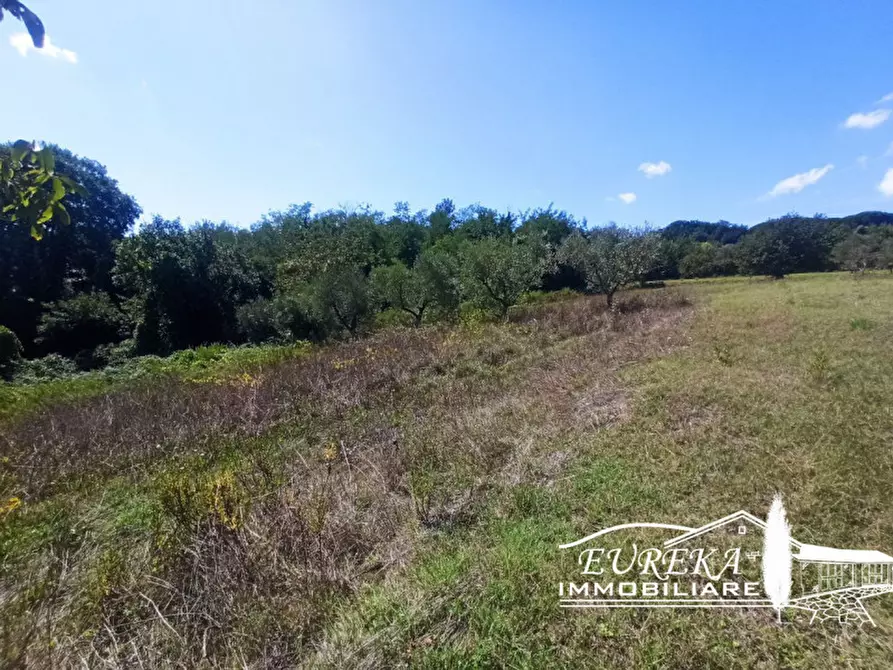 Immagine 2 di Terreno in vendita  in gioiella a Castiglione Del Lago