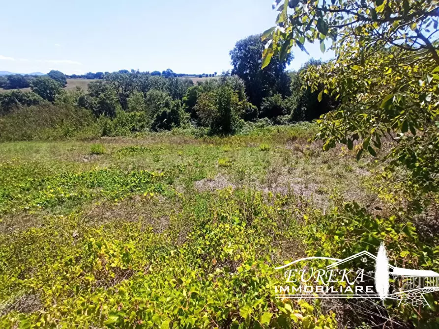 Immagine 3 di Terreno in vendita  in gioiella a Castiglione Del Lago