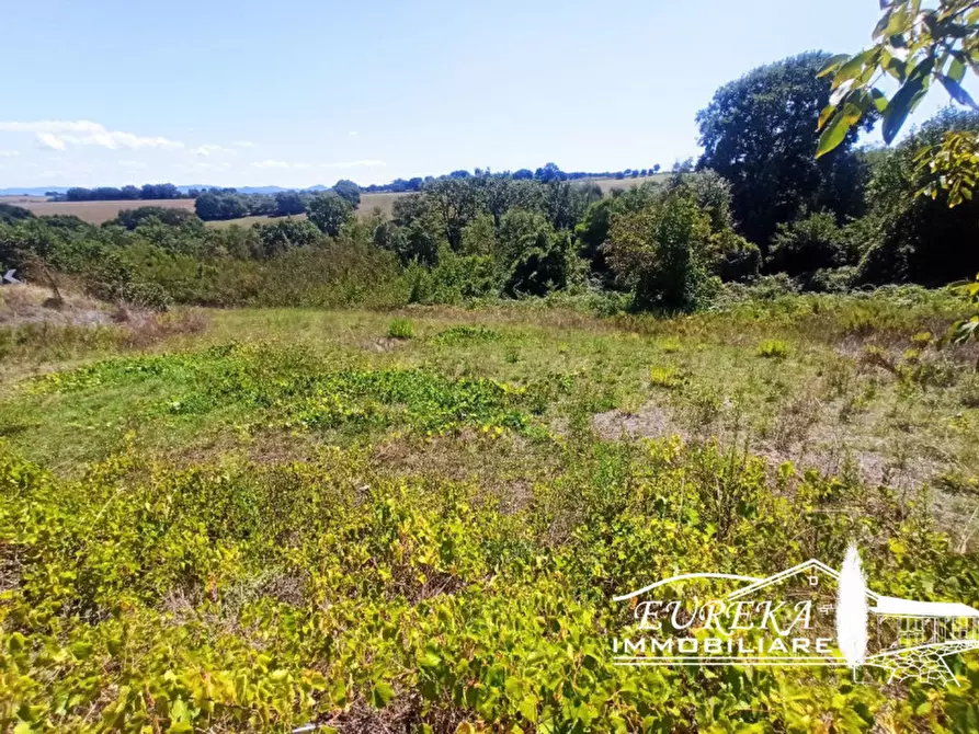 Immagine 4 di Terreno in vendita  in gioiella a Castiglione Del Lago