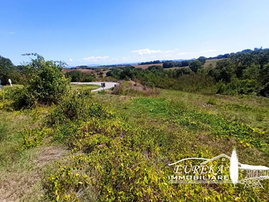 Immagine 5 di Terreno in vendita  in gioiella a Castiglione Del Lago