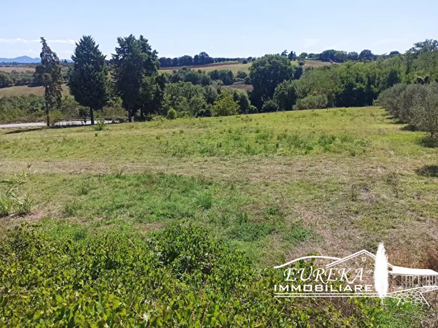 Immagine 6 di Terreno in vendita  in gioiella a Castiglione Del Lago
