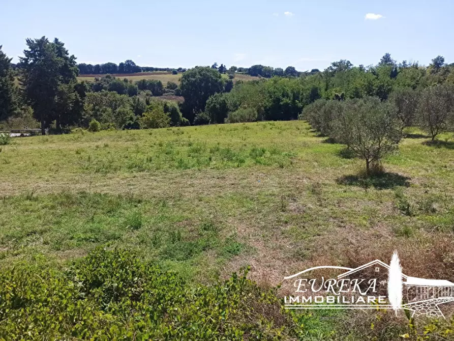 Immagine 7 di Terreno in vendita  in gioiella a Castiglione Del Lago