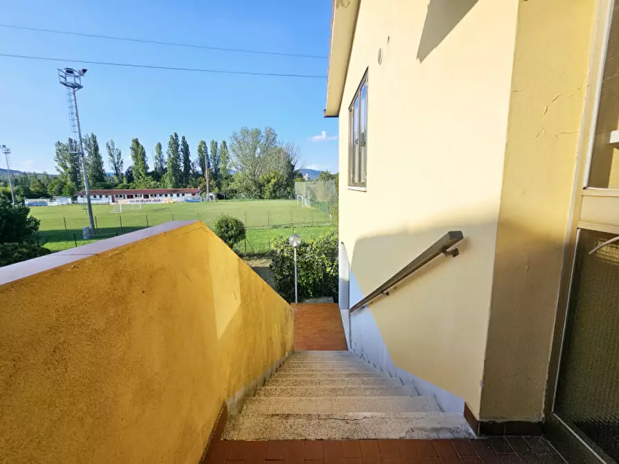 Immagine 19 di Casa bifamiliare in vendita  in VIA MONTE FIORIN a Monselice