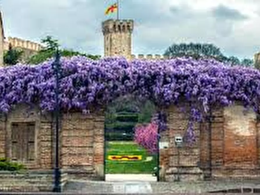 Immagine 5 di Negozio in affitto  in Via Camillo Benso Conte a Este