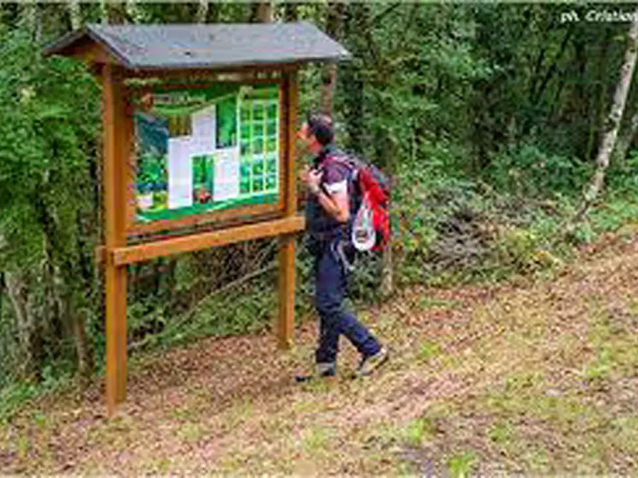 Immagine 4 di Terreno in affitto  in Via Trieste, 37 a Berbenno