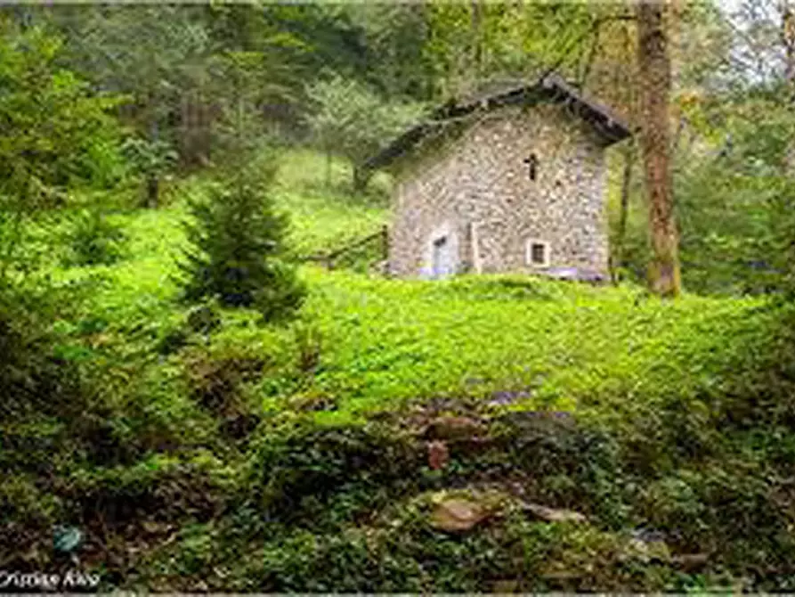 Immagine 6 di Terreno in affitto  in Via Trieste, 37 a Berbenno