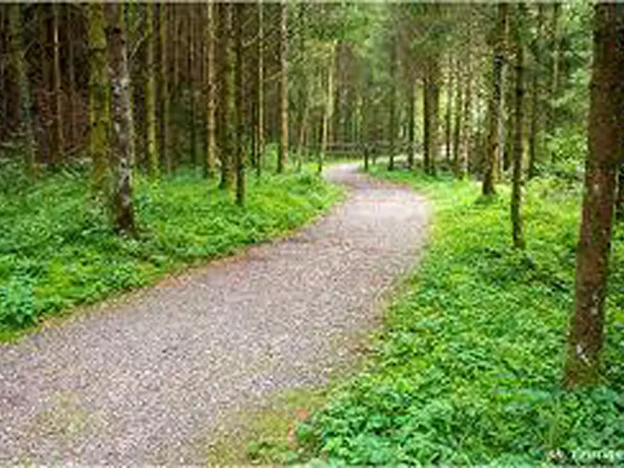 Immagine 8 di Terreno in affitto  in Via Trieste, 37 a Berbenno