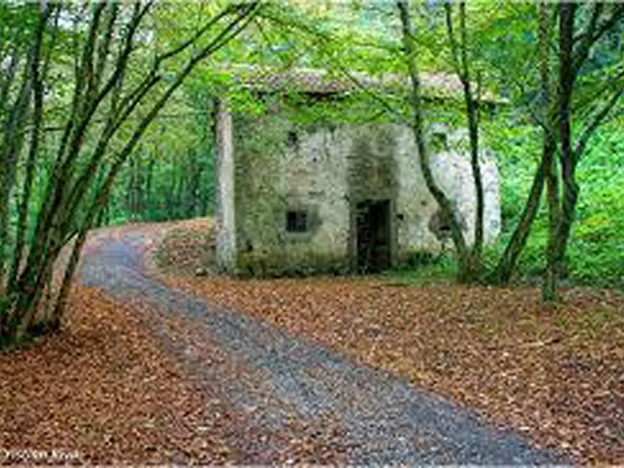Immagine 10 di Terreno in affitto  in Via Trieste, 37 a Berbenno