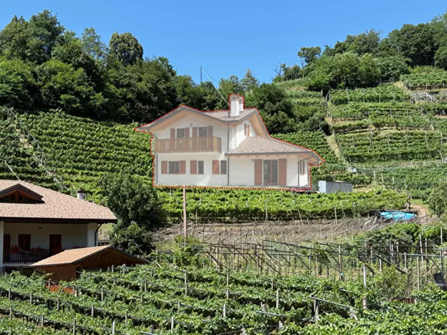 Immagine 1 di Terreno in vendita  a Segonzano