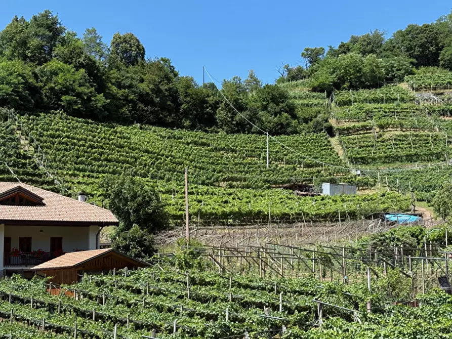 Immagine 2 di Terreno in vendita  a Segonzano