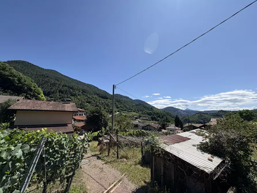 Immagine 5 di Terreno in vendita  a Segonzano