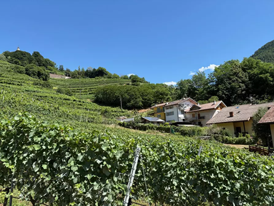 Immagine 7 di Terreno in vendita  a Segonzano