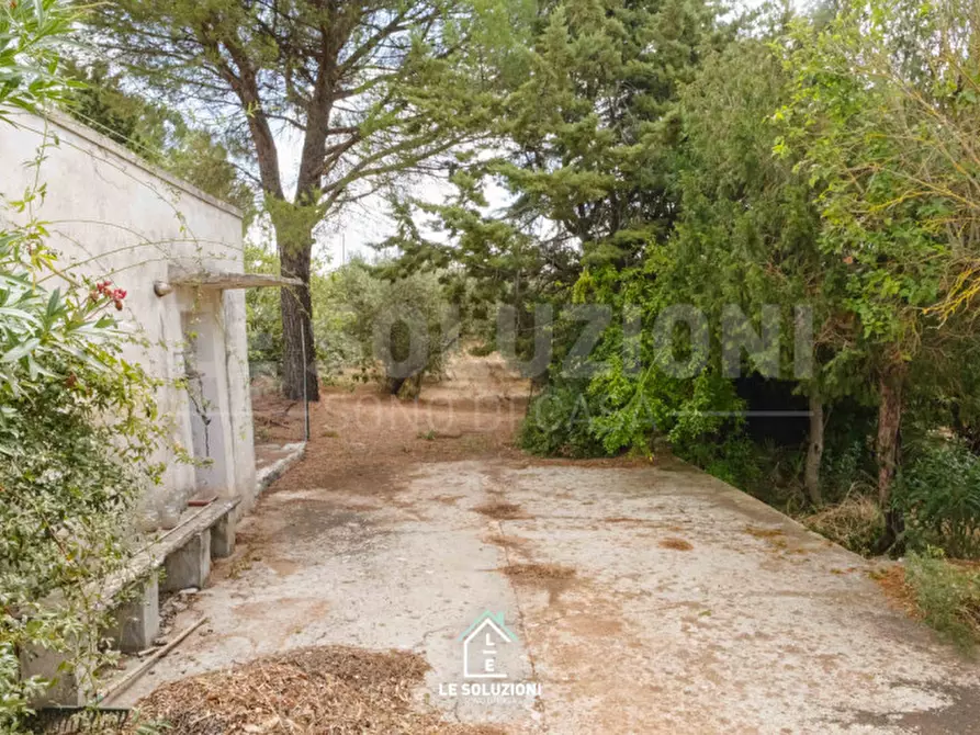 Immagine 3 di Villa in vendita  in strada comunale pozzo lo pico 19 a Putignano