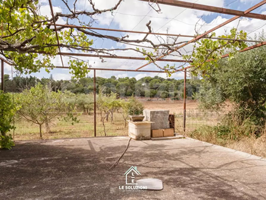 Immagine 17 di Villa in vendita  in strada comunale pozzo lo pico 19 a Putignano