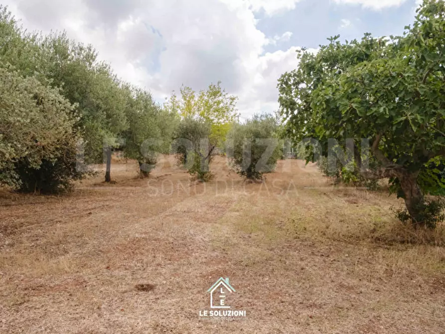 Immagine 21 di Villa in vendita  in strada comunale pozzo lo pico 19 a Putignano