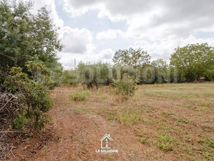 Immagine 22 di Villa in vendita  in strada comunale pozzo lo pico 19 a Putignano