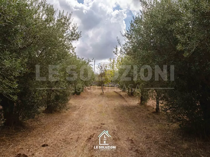 Immagine 23 di Villa in vendita  in strada comunale pozzo lo pico 19 a Putignano