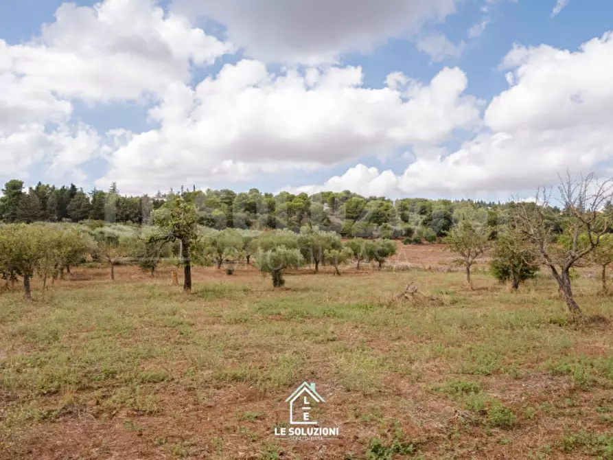 Immagine 24 di Villa in vendita  in strada comunale pozzo lo pico 19 a Putignano