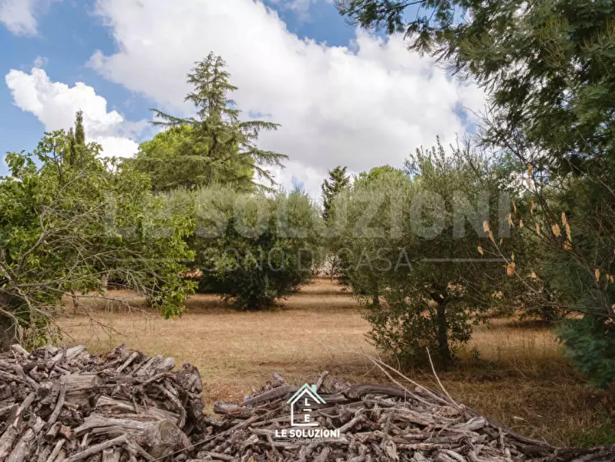 Immagine 25 di Villa in vendita  in strada comunale pozzo lo pico 19 a Putignano