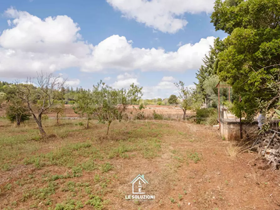 Immagine 26 di Villa in vendita  in strada comunale pozzo lo pico 19 a Putignano