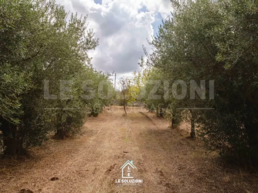 Immagine 29 di Villa in vendita  in strada comunale pozzo lo pico 19 a Putignano