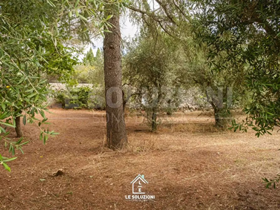 Immagine 29 di Villa in vendita  in strada comunale pozzo lo pico 19 a Putignano