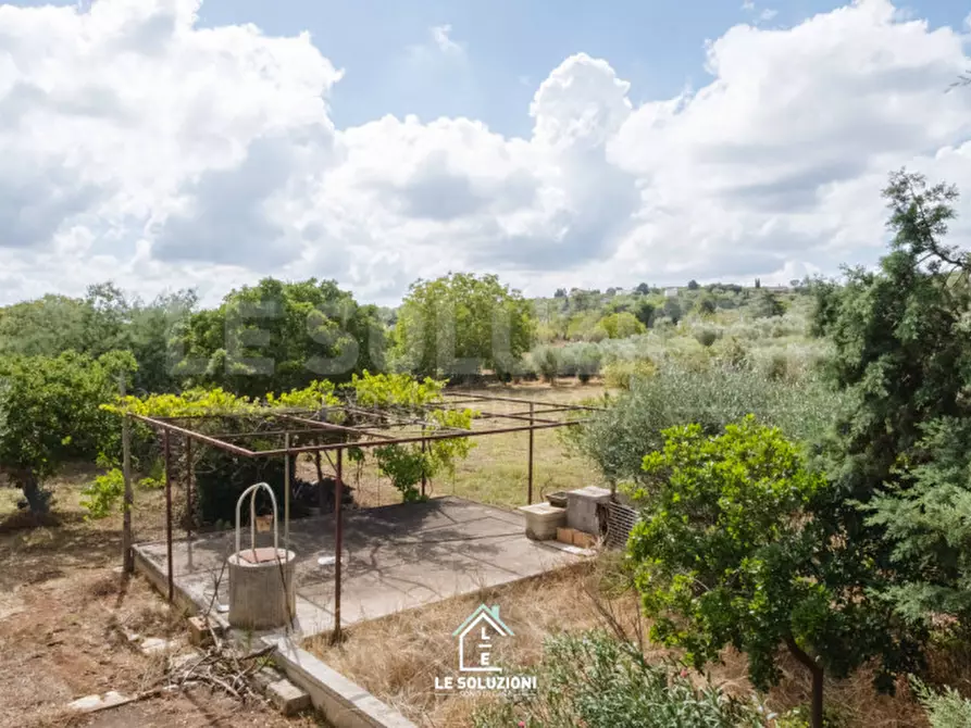 Immagine 45 di Villa in vendita  in strada comunale pozzo lo pico 19 a Putignano
